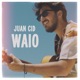 Waio Single