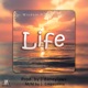 Life feat AYOJAYBOI Single