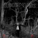 BLOODY TIMBS feat BVRYM3 Single