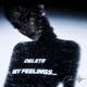 Delete My Feelings feat Meow Cats Single