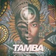 Tamba feat DJ Maphorisa Sha Sha Single