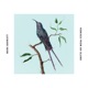 Remixes from an Island EP