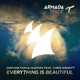 Everything Is Beautiful feat Chris Arnott EP