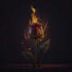 All of me feat 2Slimey Single