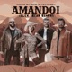 Amândoi Alex Ercan Remix Single