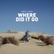 Where Did It Go Single