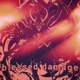 Blessed Damage Single