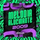 Melodia Alucinante 2009 feat MC GW Single