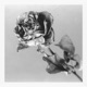 Imperfection Single