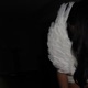 Angel Single