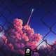 Lovely Dreams Single