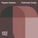 Prefrontal Cortex EP