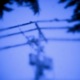blurry Single