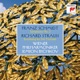 Schmidt Symphony No 2 Strauss Dreaming by the Fireside EP