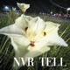 nvr tell