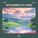 Detachment of a wing feat Harrix Single