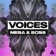 Voices Single