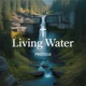 Living Water Single