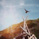 Force of Nature EP