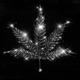 Mary Juana Single