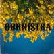 OBRNISTRA Single