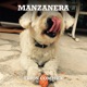 Manzanera Single