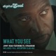 What You See feat Fil Straughan