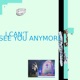 I Can t See You Anymore Single