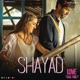 Shayad From Love Aaj Kal Single