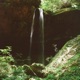 Forest Dark Single