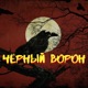 Чёрный ворон feat Babkinvnuk ALEX PYACHE ViT Single
