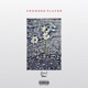 Crowded Places Single