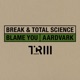 Blame You Aardvark Single