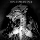 Sonoluminescence
