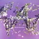 Dreamer Single