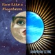 Face Like a Moonbeam Single