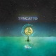 Split Single