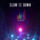 Slow It Down Single
