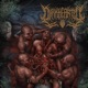 Ignorance Single