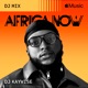 Africa Now June 2024 DJ Mix