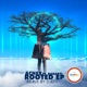 Rooted Remix by DJEFF feat Babarti Single