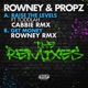 Raise the Levels Cabbie Remix Get Money Rowney Remix Single