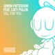 Fall for You feat Lucy Pullin Single