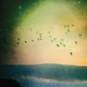 Afar Farewell