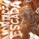 MONTAGEM ESCADA Single