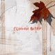 Осінній вітер Single