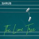 The Lime Tree Single