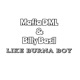 Like Burna Boy Single
