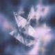 Fracture Single