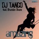Amazing feat Brandon Shane Single